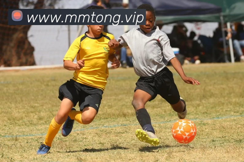 多媒体互动体验